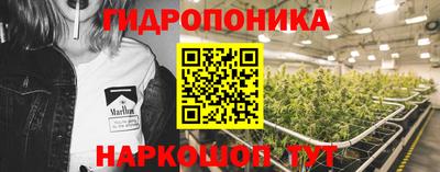 бошки Будённовск
