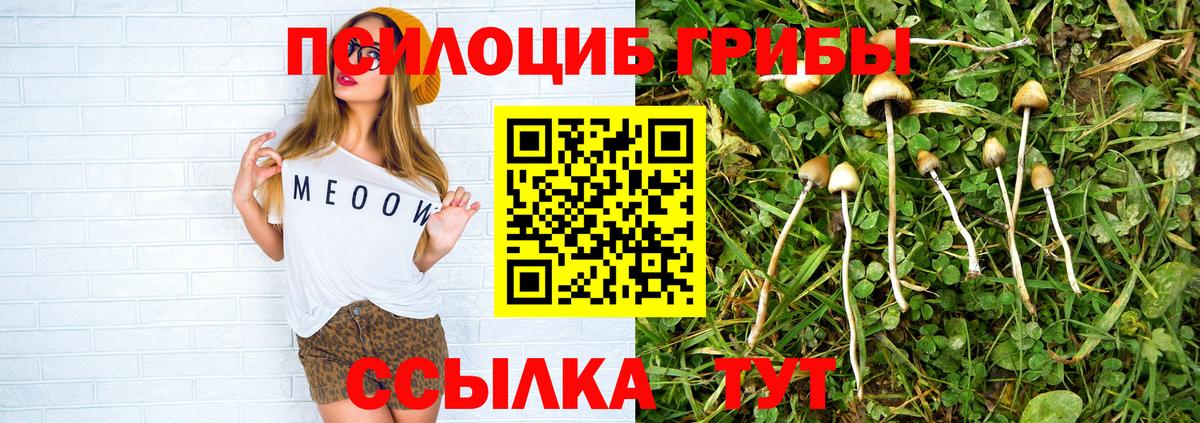 Псилоцибиновые грибы Psilocybine cubensis  Вход с VPN  Псилоцибиновые грибы прущие грибы  наркошоп  Калининград 