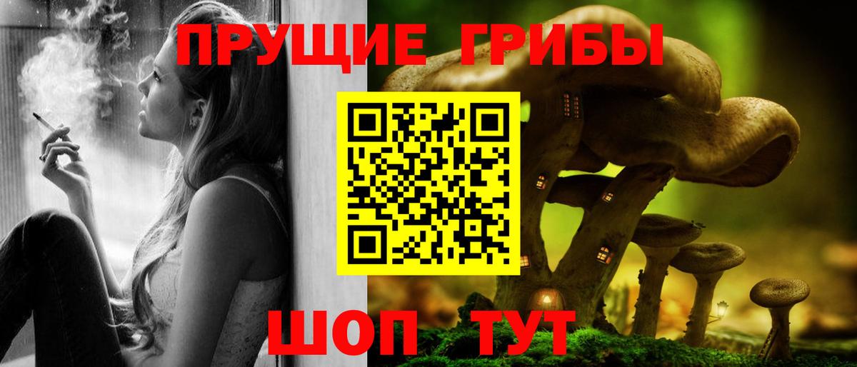 Галлюциногенные грибы GOLDEN TEACHER Калининград